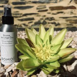 Alternative view of BRUME de LINGE Ôm